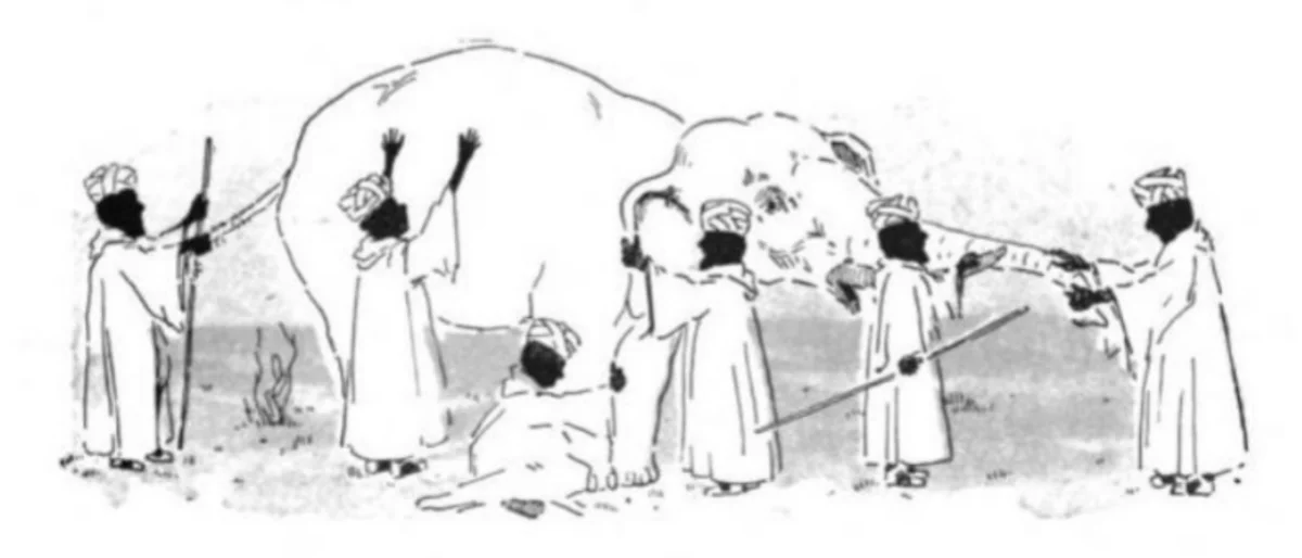 Blind men and an elephant Blind men and an elephant