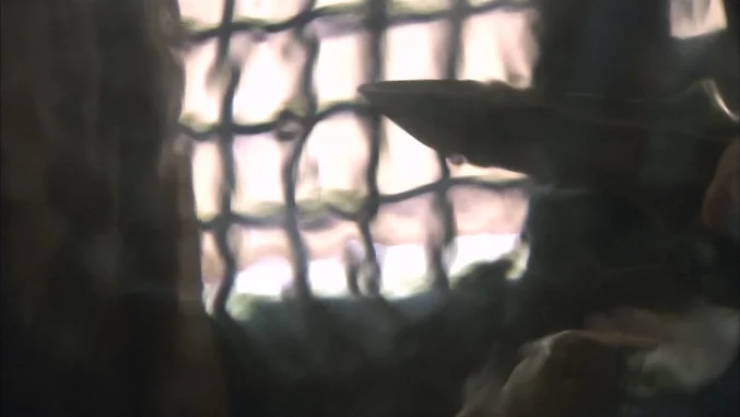 dagger in the mirror
